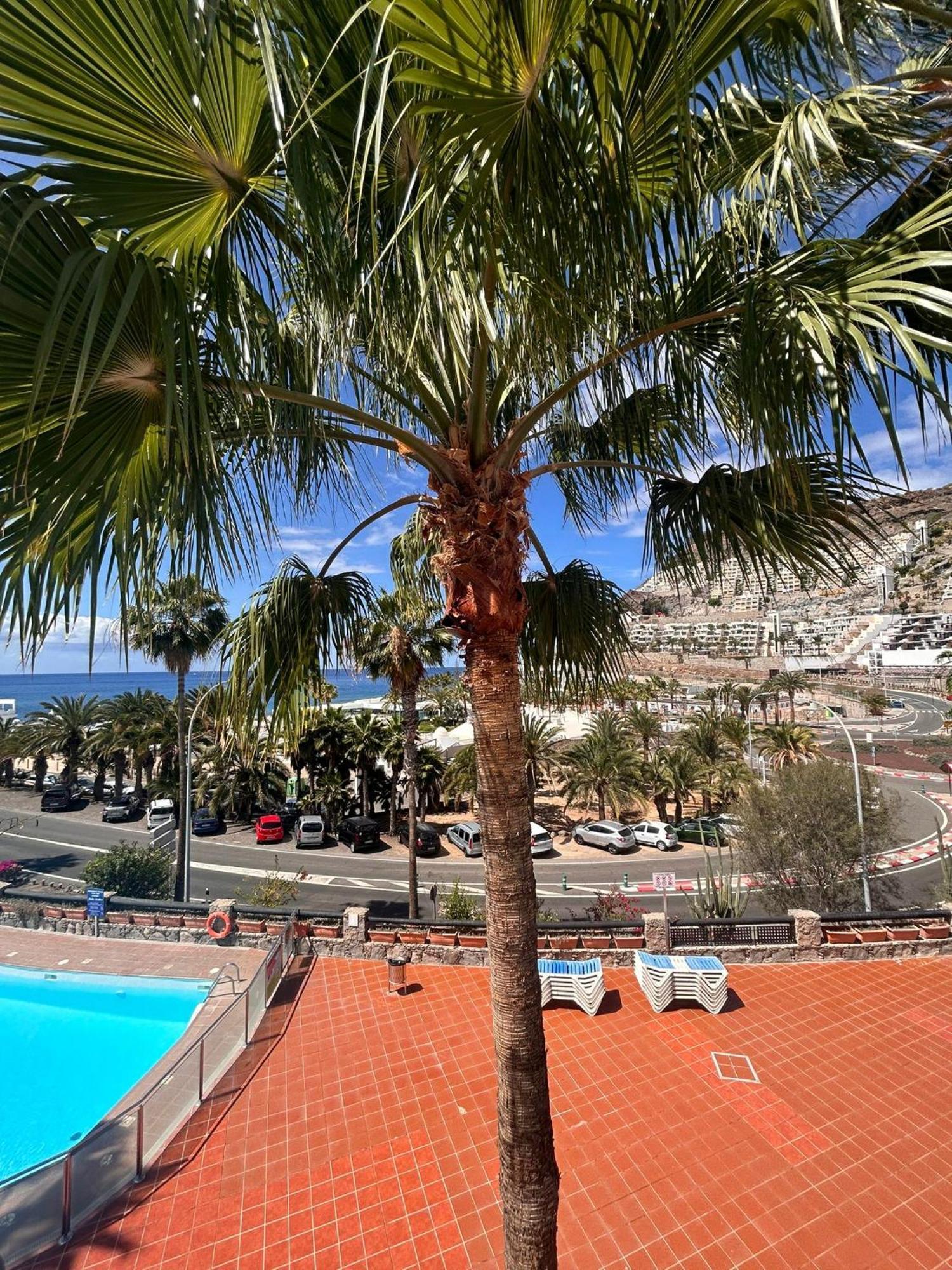 Bluejay Apartamento Playa Del Cura Playa Del Cura  Exterior foto